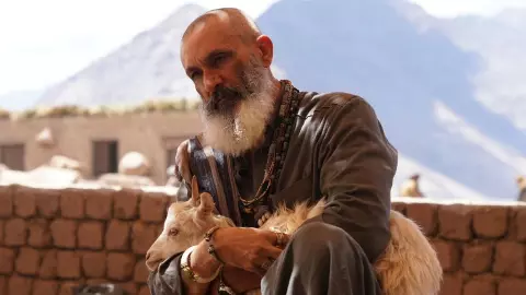 bimal oberoi struggle story dhurandhar 2 shirani daler mehndi support