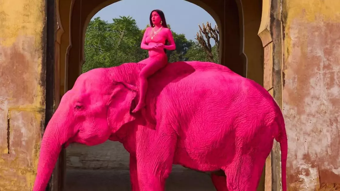 elephant photoshoot Jaipur