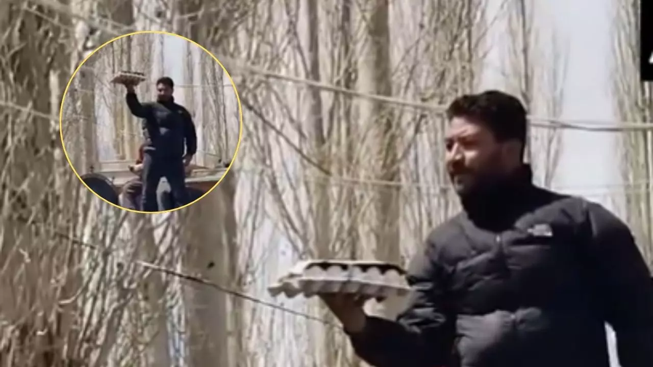 egg auction 25000 rupees