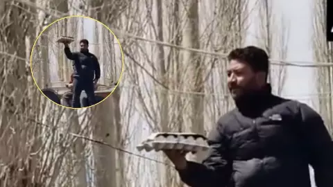 egg auction 25000 rupees