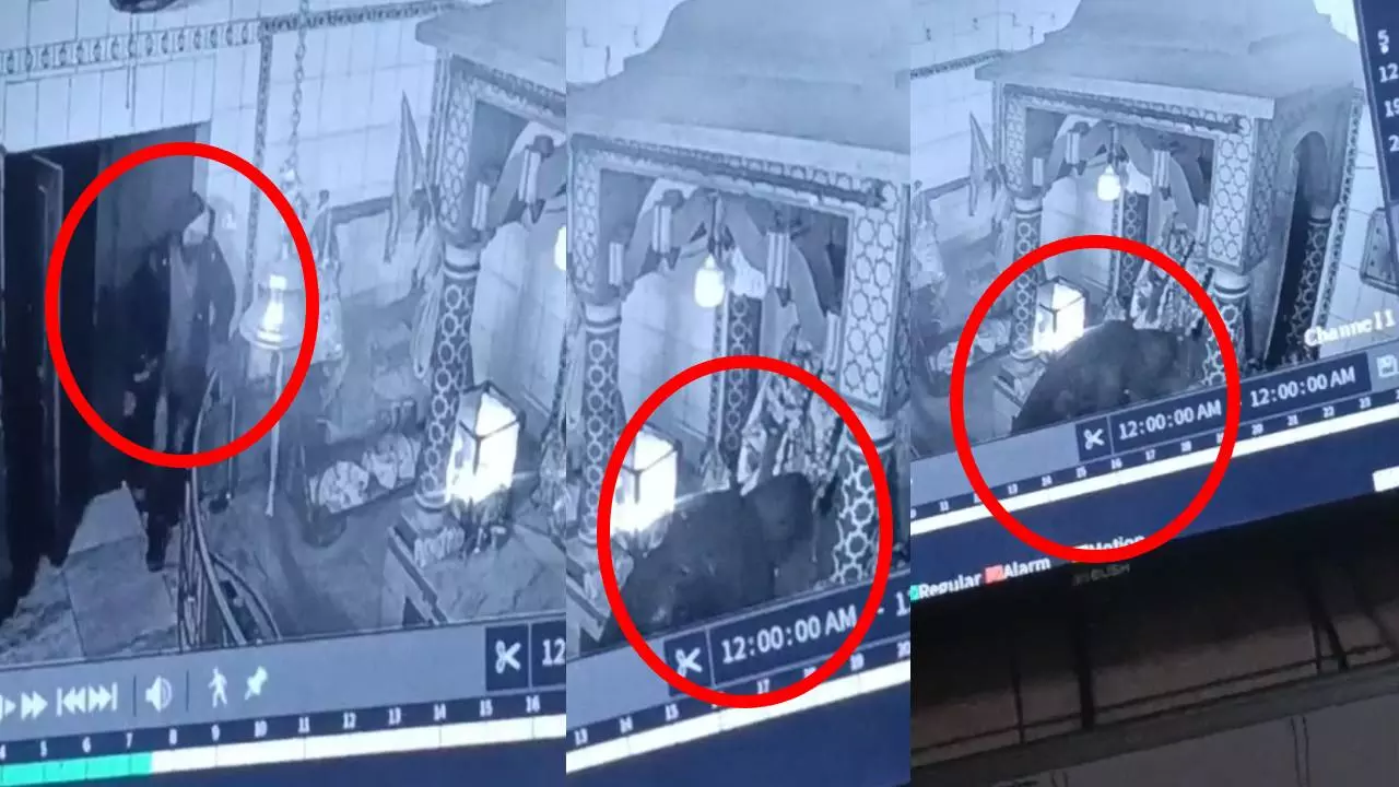 Greater Noida के मंदिर में चोरी से हड़कंप, मूर्ति से चांदी के छत्र ले गया चोर, ऐसे दिया घटना को अंजाम