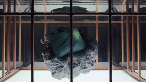 Dinosaur Leather Bag