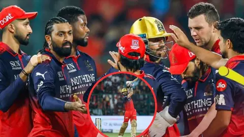 RCB vs LSG Match Highlights