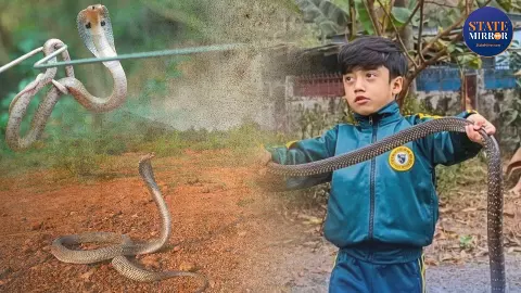 खिलौने से खेलने की उम्र में 5 साल के राज सौरभ बने भारत के सबसे छोटे Snake Rescuer, बिहू सम्मेलन में मिला बड़ा सम्मान