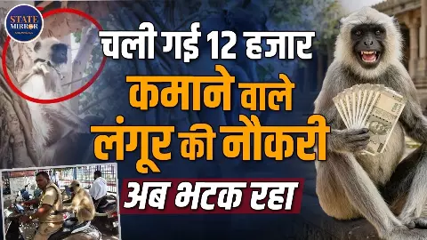 बंदरों से बचाने के लिए कॉलेज ने ‘गोलू’ लंगूर को रखा सिक्योरिटी गार्ड, हर महीने मिलते थे 12 हजार- लेकिन अब क्यों चली गई नौकरी?
