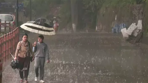 rain