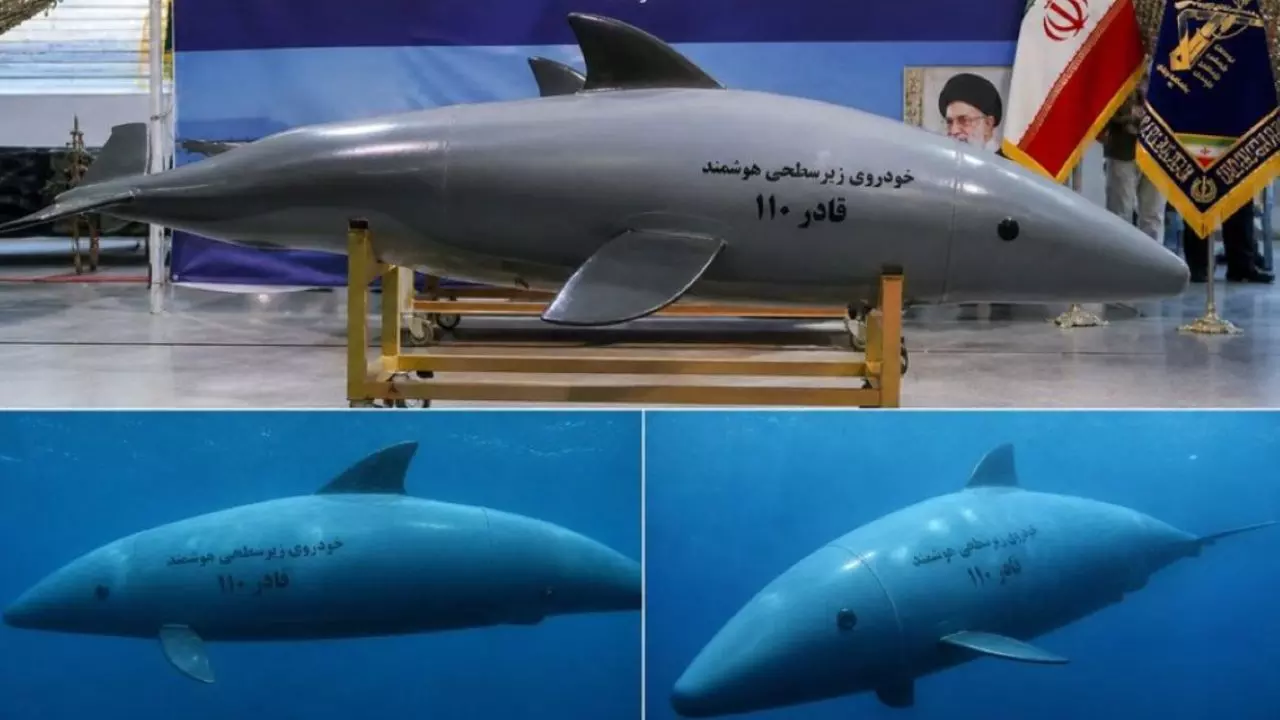 Kamikaze Dolphins