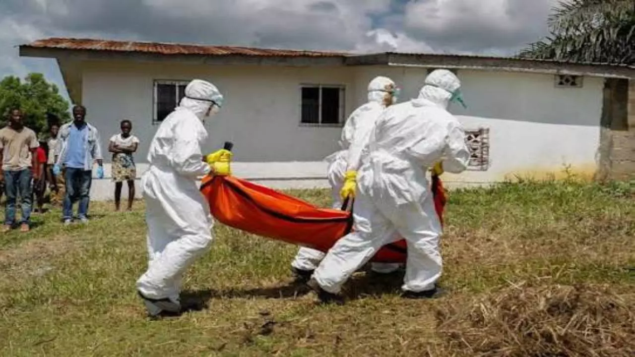 हर दिन हो रही मौतें...इस देश में Ebola ने बरपाया कहर, WHO का अलर्ट; आखिर कैसे फैलता है यह वायरस और कितना खतरनाक?