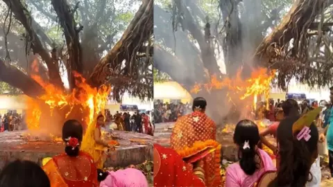 पति की लंबी उम्र की पूजा... और तभी बरगद में लग गई आग! वट सावित्री पूजा का Video Viral