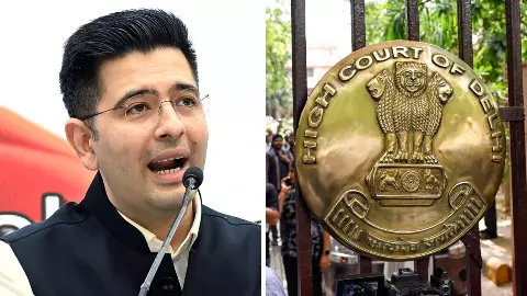 Delhi High Court Reserves Order In Raghav Chadha Defamation Plea