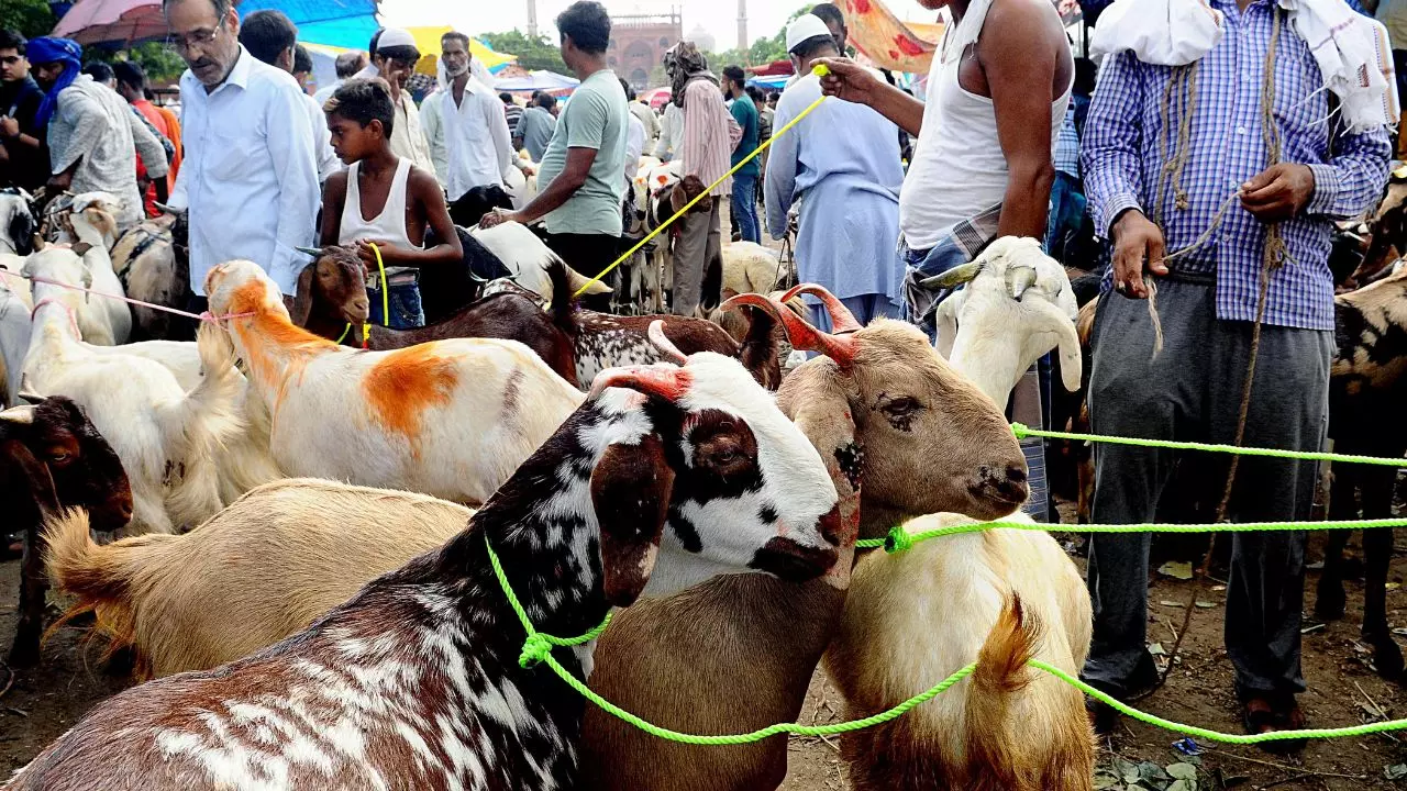Bakrid 2026 Delhi Guidelines