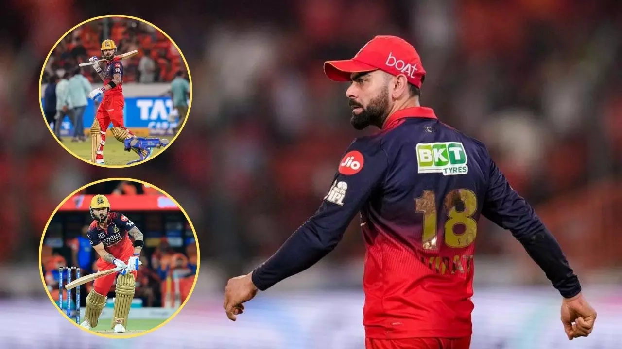 virat kohli playoff stats
