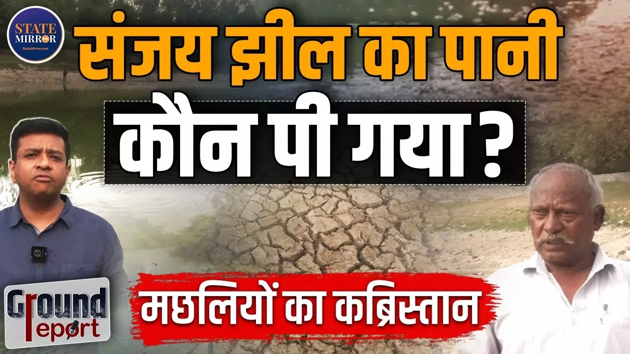 Ground Report: दिल्ली की संजय झील बनी मछलियों का कब्रिस्तान, लोगों ने बताया जिम्मेदार कौन