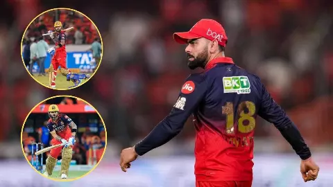 virat kohli playoff stats