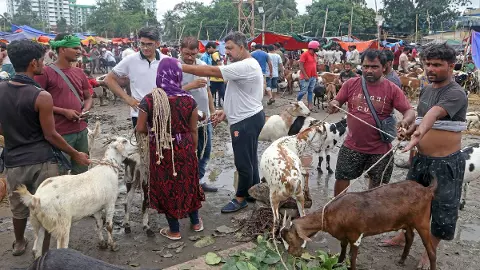 भारत की इन जगहों पर 27 नहीं 28 मई को मनाई जाएगी बकरीद, आखिर ऐसा क्यों? जानें किस देश में कब मनाया जाएगा त्योहार भारत की इन जगहों पर 27 नहीं 28 मई को मनाई जाएगी बकरीद, आखिर ऐसा क्यों? जानें किस देश में कब मनाया जाएगा त्योहार