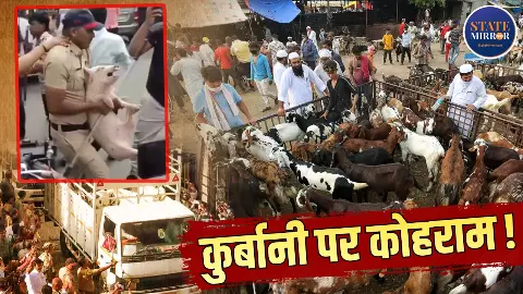 बकरियों की कुर्बानी से पहले सुअर की Entry पर बवाल! सोसाइटी में बकरों को लेकर भिड़े दो पक्ष, भारी पुलिस बल तैनात- VIDEO बकरियों की कुर्बानी से पहले सुअर की Entry पर बवाल! सोसाइटी में बकरों को लेकर भिड़े दो पक्ष, भारी पुलिस बल तैनात- VIDEO