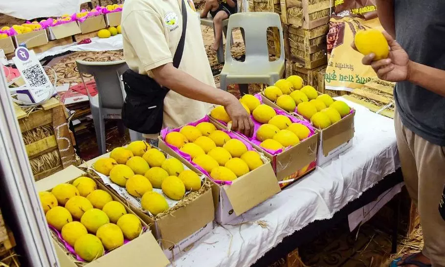 20 साल बाद जापान ने भारतीय आमों पर लगाया बैन!