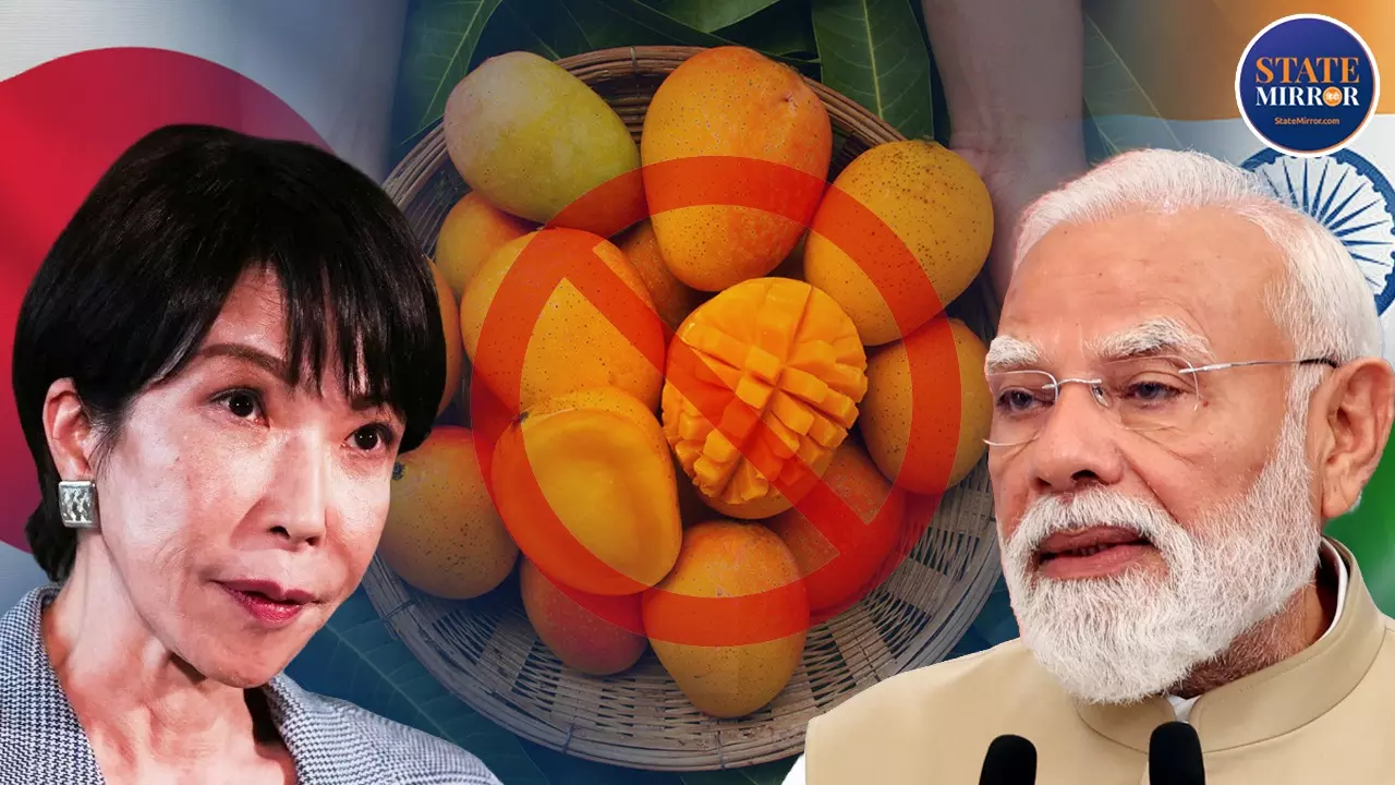 Japan Indian Mango Ban Indian Mango Export to Japan Fruit Fly in Mangoes