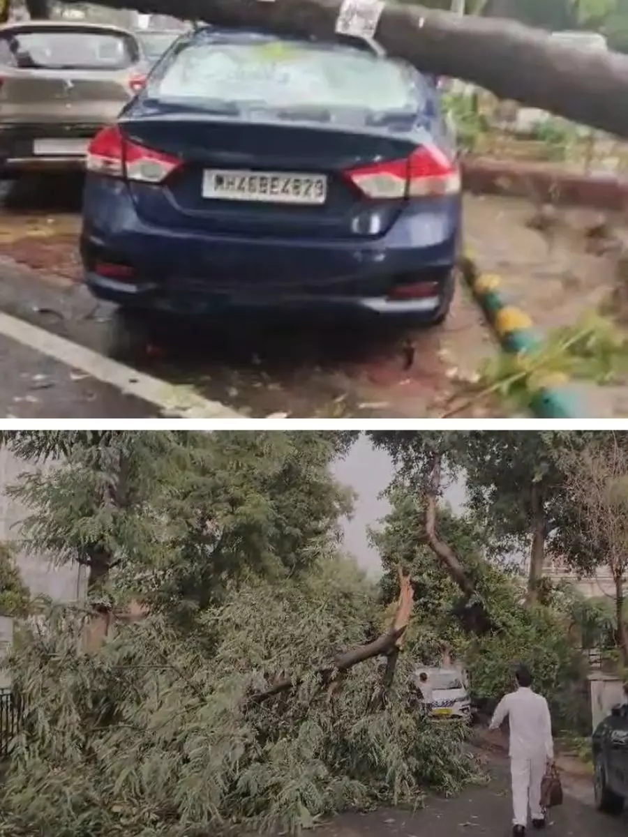 उखड़े पेड-गिरे होर्डिंग, नोएडा में आंधी-बारिश से बिगड़ी तस्वीर