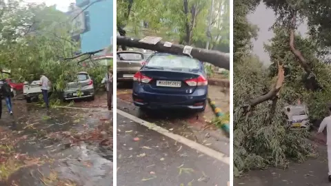 नोएडा में तूफान का तांडव! 400 पेड़ गिरे, 210 बिजली पोल टूटे; सड़कों पर भरा पानी- जानिए अगले पांच दिन का मौसम Update