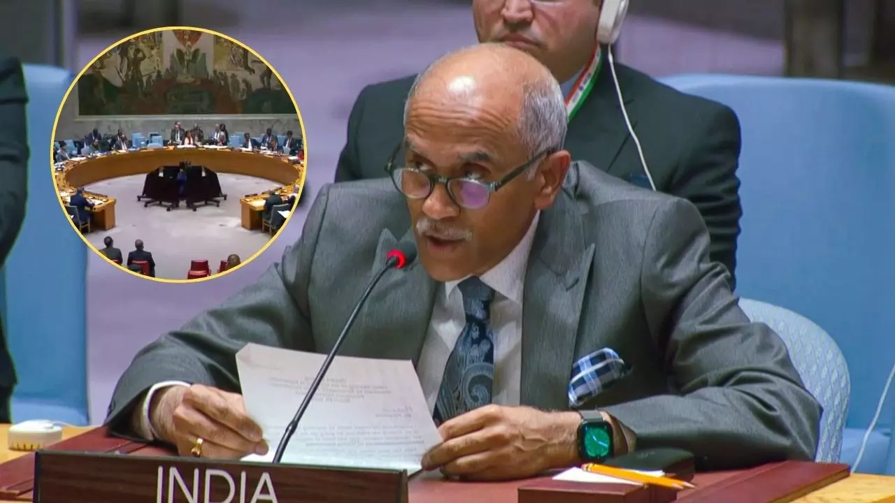 UNSC Meeting Harish Parvathaneni