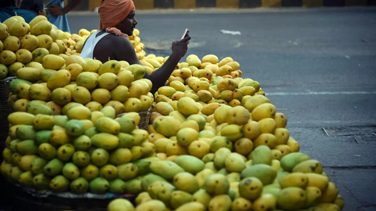 भारतीय आम पर संकट: जापान के बाद नेपाल ने लगाया बैन, क्यों खत्म हो रही है फलों के राजा की बादशाहत?