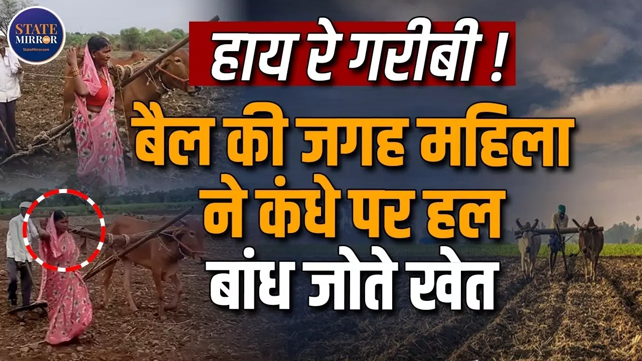 बैल की मौत हुई तो पत्नी ने खुद खींचा हल! लातूर की महिला का वीडियो वायरल हुआ तो सिस्टम पर उठे गंभीर सवाल