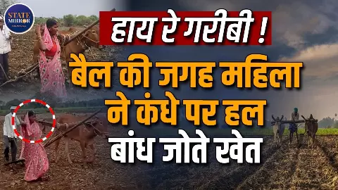 बैल की मौत हुई तो पत्नी ने खुद खींचा हल! लातूर की महिला का वीडियो वायरल हुआ तो सिस्टम पर उठे गंभीर सवाल बैल की मौत हुई तो पत्नी ने खुद खींचा हल! लातूर की महिला का वीडियो वायरल हुआ तो सिस्टम पर उठे गंभीर सवाल