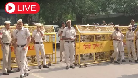 Aaj ki Taaza Khabar: दिल्ली पुलिस का बड़ा एक्शन, बच्चा तस्करी गिरोह का भंडाफोड़, 12 आरोपी गिरफ्तार Aaj ki Taaza Khabar: दिल्ली पुलिस का बड़ा एक्शन, बच्चा तस्करी गिरोह का भंडाफोड़, 12 आरोपी गिरफ्तार