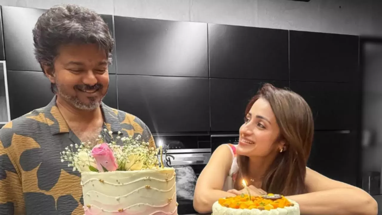 जिसकी वजह से सब खास हो...Trisha Krishnan ने मनाया Vijay का 52वां बर्थडे, ट्रोलर्स की हुई बोलती बंद