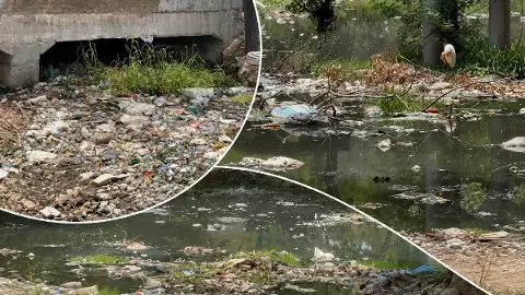 90% नाले अब भी गंदगी से भरे, मानसून दरवाजे पर... क्या इस बार बारिश में डूब जाएगा नोएडा? स्टेट मिरर पड़ताल