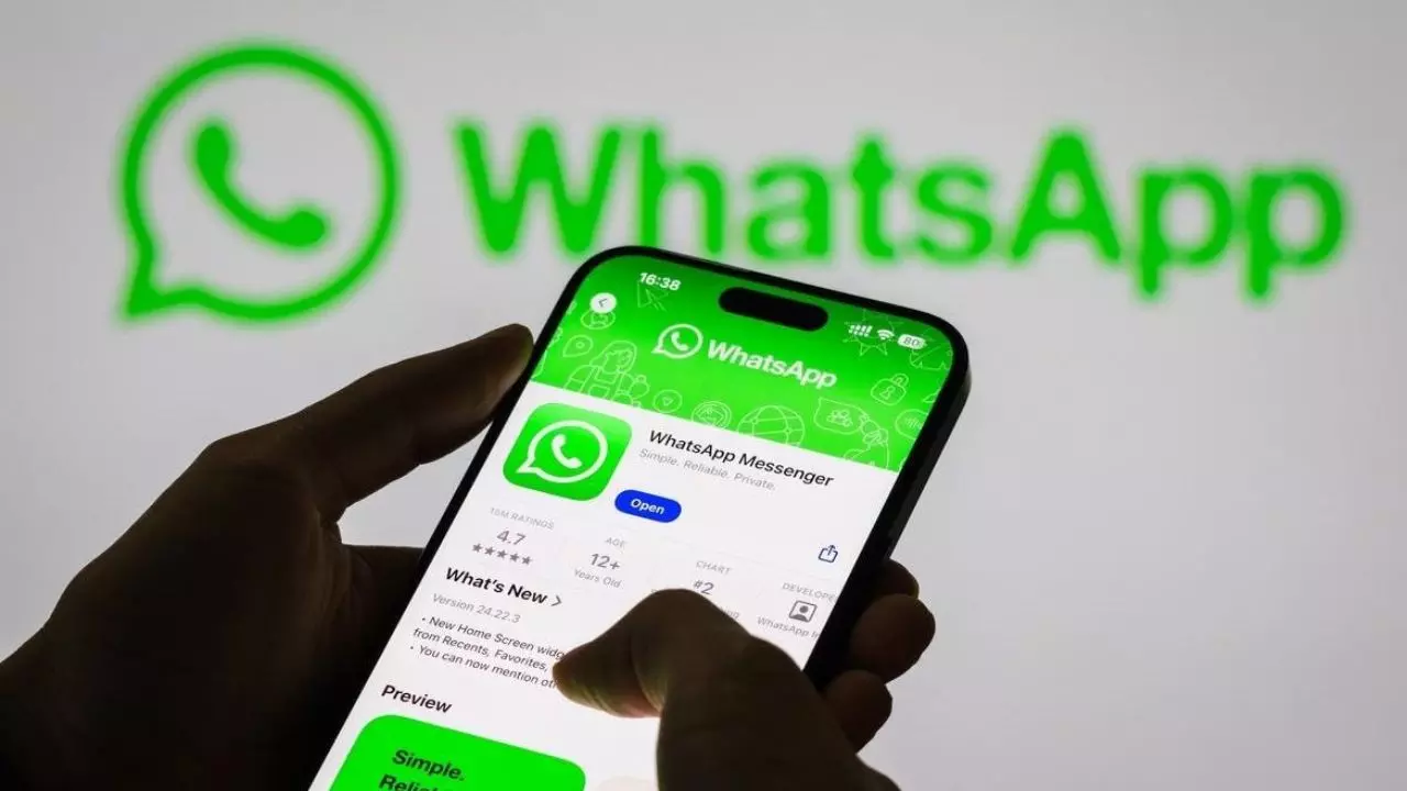 WhatsApp Username Feature