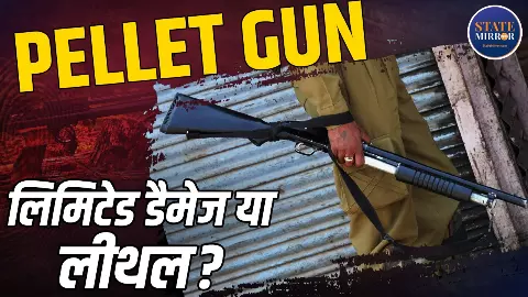 pellet gun pellet gun