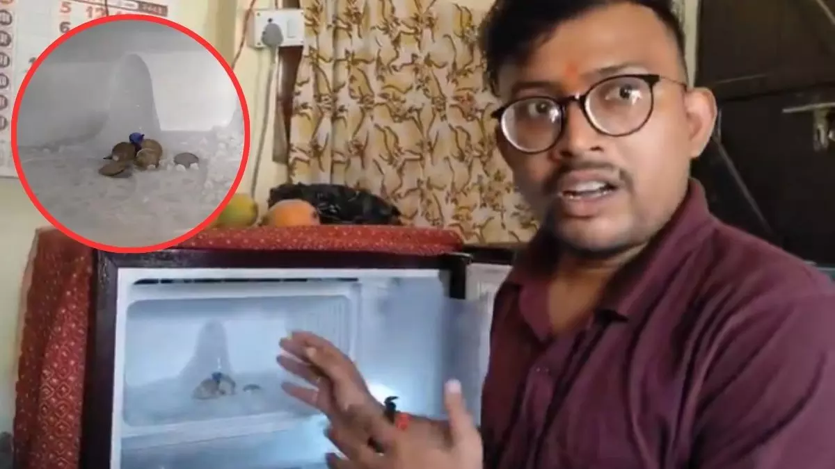 amarnath-ice lingam Like shivling Formation Found Inside a Fridge in Agra