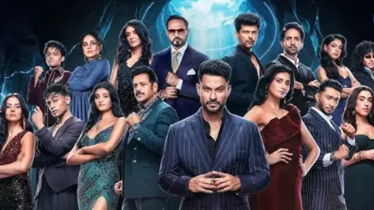 एक हफ्ते की 40 लाख फीस, कुशाल से लेकर सोहेल खान तक की कमाई का हुआ खुलासा, The Alliance शो में कौन सबसे ज्यादा अमीर