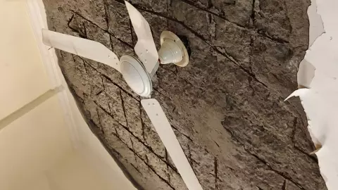 Ceiling Collapses in Noidas Gardenia Gateway Flat Ceiling Collapses in Noidas Gardenia Gateway Flat