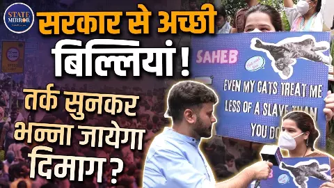 सरकार से अच्छी तो हमारी बिल्लियां हैं, दिन में दो बार तो हमारी बात सुनती हैं, जंतर-मंतर पर प्रदर्शन में शामिल महिला ने कसा तंज सरकार से अच्छी तो हमारी बिल्लियां हैं, दिन में दो बार तो हमारी बात सुनती हैं, जंतर-मंतर पर प्रदर्शन में शामिल महिला ने कसा तंज