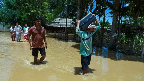 flood flood