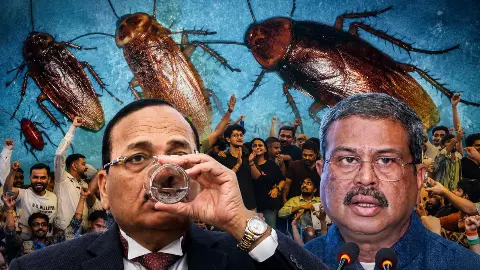 CJI के एक बयान से निकली चिंगारी कैसे बन गई आग का शोला? कॉकरोचों ने धर्मेंद्र प्रधान को डुबोया! Explainer में समझिए