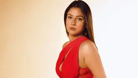 सलमान खान ने किया लॉन्च, फिर क्यों थम गया शहनाज गिल का बॉलीवुड सफर? एक्ट्रेस ने बताई सच्चाई