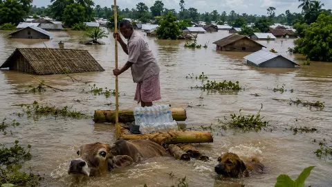 50 साल में ऐसी बाढ़ कभी नहीं देखी 68 मौतें, डूबते गांव और बर्बाद ज़िंदगियां; देखिए असम बाढ़ की भयावह तस्वीरें 50 साल में ऐसी बाढ़ कभी नहीं देखी 68 मौतें, डूबते गांव और बर्बाद ज़िंदगियां; देखिए असम बाढ़ की भयावह तस्वीरें