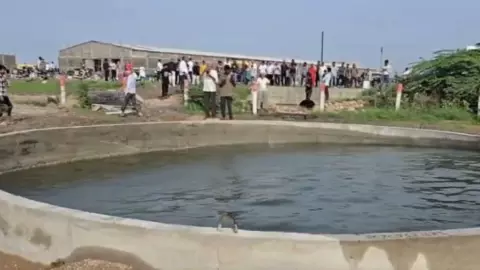 2 दिन से अपने आप हिलने लगा कुएं का पानी, गुजरात के इस गांव में मचा हड़कंप, वजह बनी रहस्य 2 दिन से अपने आप हिलने लगा कुएं का पानी, गुजरात के इस गांव में मचा हड़कंप, वजह बनी रहस्य