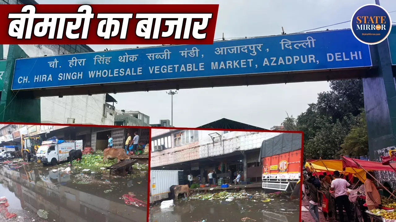 Ground Report: सावधान! आजादपुर मंडी से घर आ रही है सब्जी या बीमारी? गंदगी, सड़ांध और गंदे पानी के बीच बिक रही सब्जियां