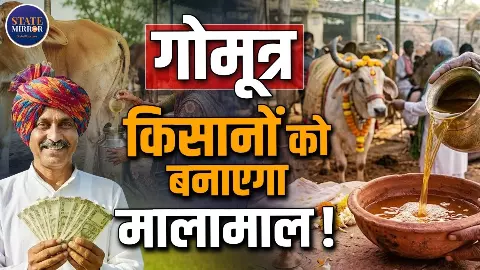 दूध के बाद अब गोमूत्र से कमाई!  किसानों को ₹10 प्रति लीटर मिलेंगे, बुलंदशहर के 15 गांवों से शुरू हुई पहल