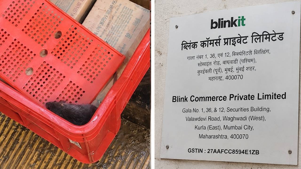 फ्रीजर में चूहा और स्टोरेज में कॉकरोच, Blinkit-Zepto-Instamart से सामान खरीदना कितना सेफ? FDA जांच में खुली पोल, 14 लाइसेंस सस्पेंड