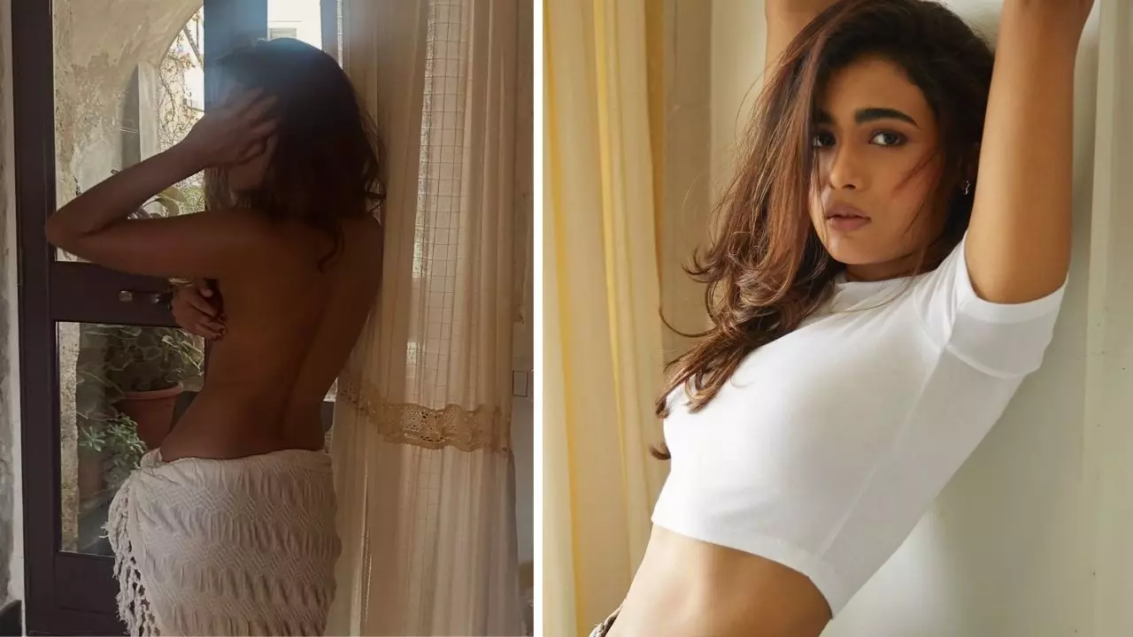 AI या Real! सोशल में बवाल काट रहा है Shalini Pandey का ये VIDEO, एक्ट्रेस के इस पोस्ट से सामने आया सच