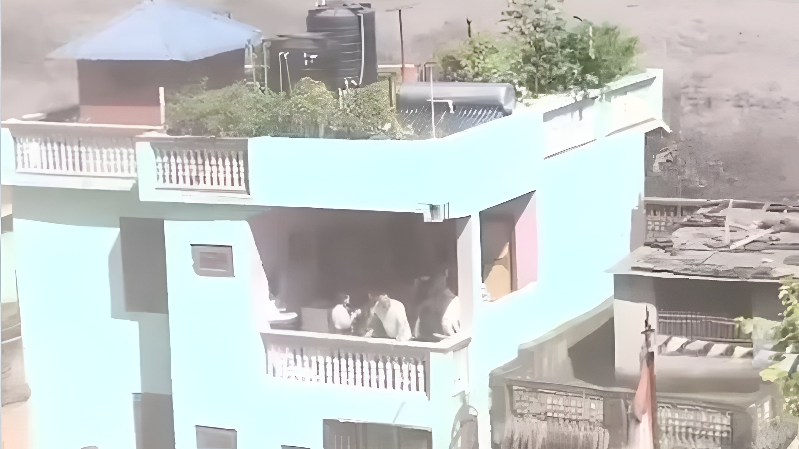 नेपाल में जब आई बाढ़ तो ताश के पत्तों की तरह ढह गए घर, फिर कैसे बचा रहा एक मकान, इस वीडियो में बताया गया कारण