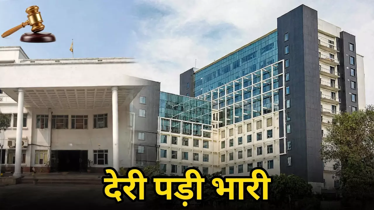 पेट दर्द से गैंग्रीन और गॉलब्लैडर में छेद तक... इलाज में 8 दिन की देरी पड़ी भारी, अब अस्पताल-2 डॉक्टरों को देना होगा 5 लाख