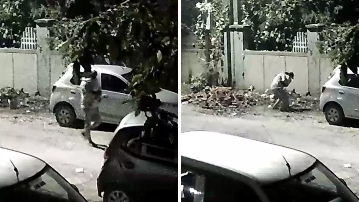 Greater Noida CCTV Video viral: Man Takes Back Garbage After Warning