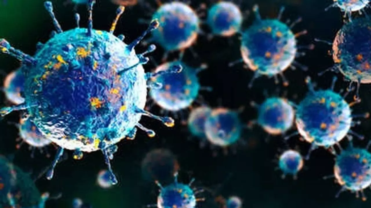 क्या है Shamonda Virus, जो जानवर से अब लेने लगा इंसानों की जान? कोरोना से कितना अलग, FAQ में जानिए हर सवाल का जवाब